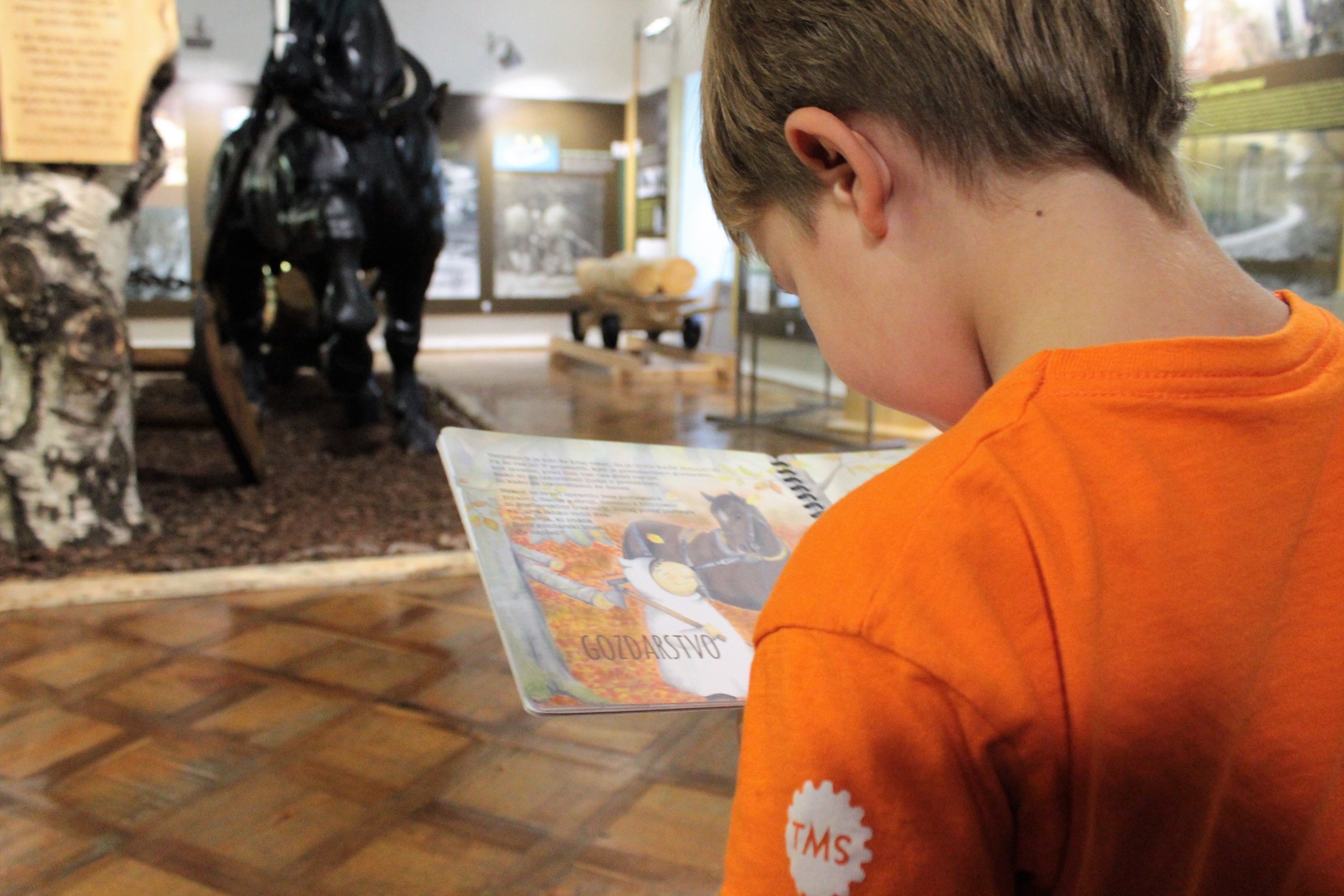 TMS odkrivamo muzejske zbirke 1