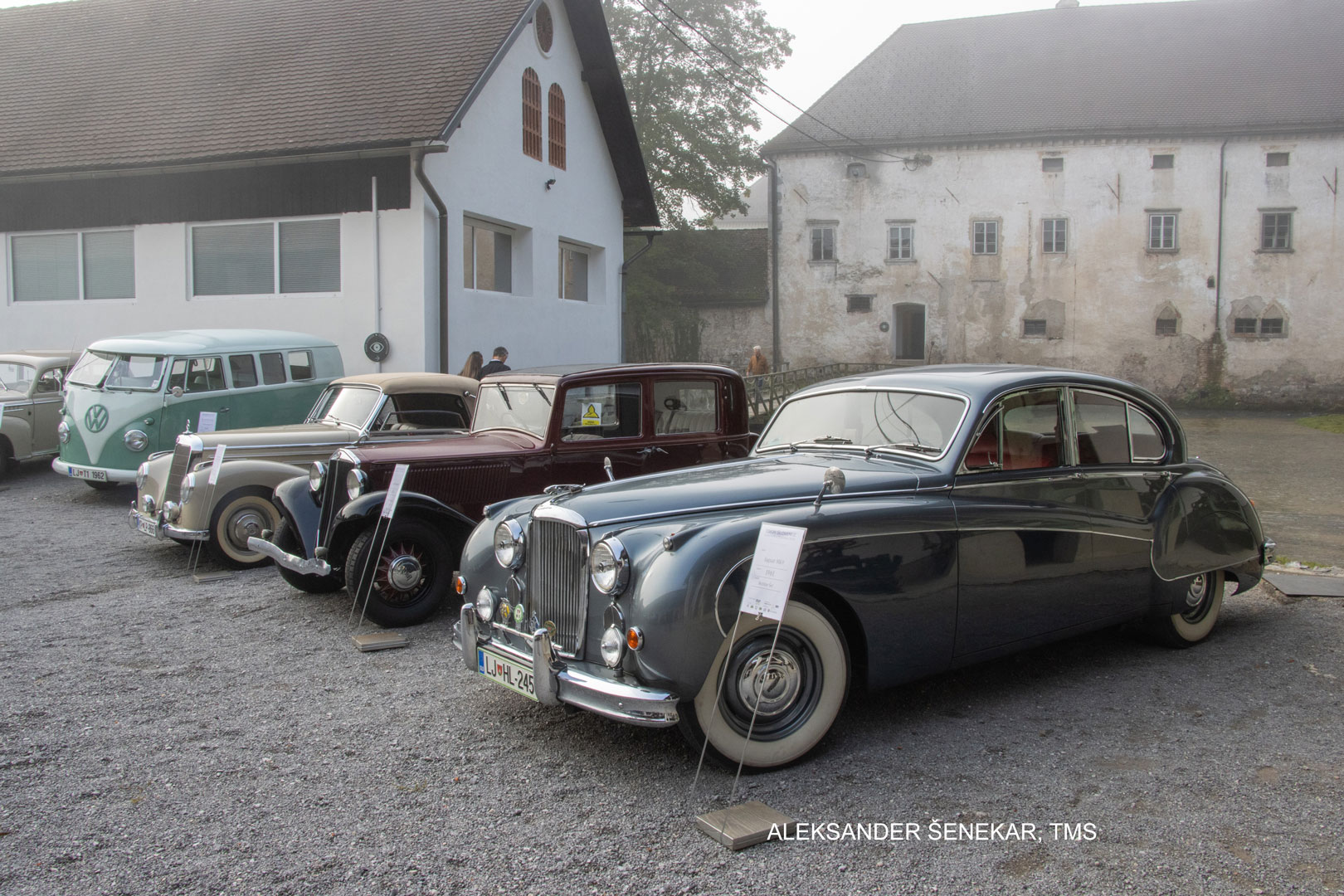 Aleksander Šenekar TMS (2)