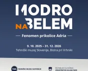 NASLOVNA