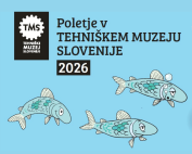 fotka poletje