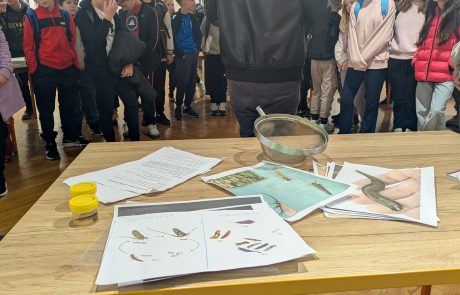 biotehniški dnevi (14) biotehniški dnevi (14)